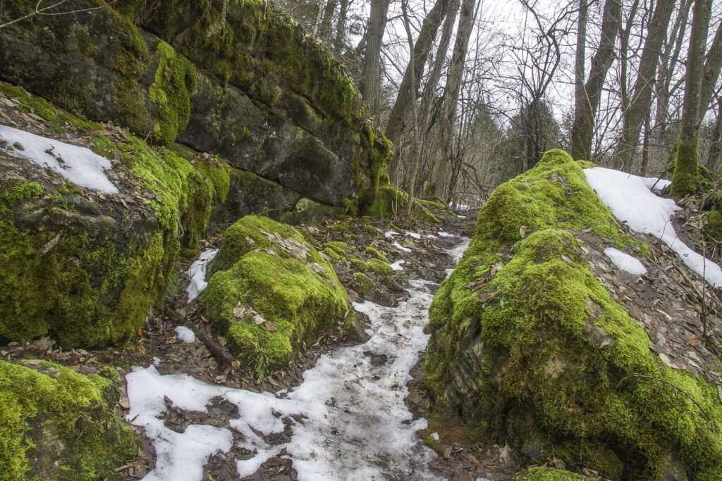 Snow covered trail among moss covered rocks